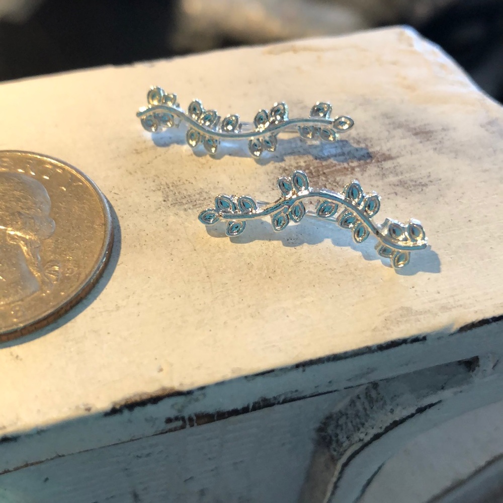 Stainless Ear Crawlers (2)